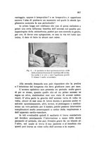 giornale/PUV0028278/1937/unico/00000919