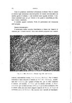 giornale/PUV0028278/1938/unico/00000024