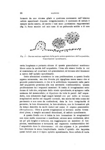 Rivista sperimentale di freniatria e medicina legale delle alienazioni mentali organo della Società freniatrica italiana