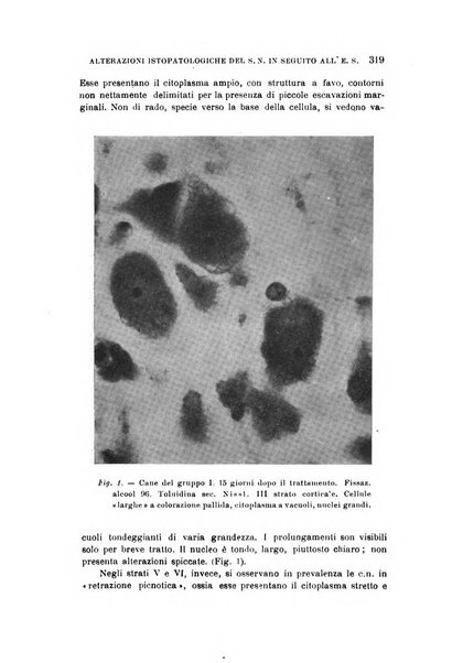 Rivista sperimentale di freniatria e medicina legale delle alienazioni mentali organo della Società freniatrica italiana