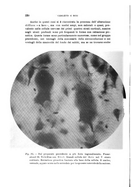 Rivista sperimentale di freniatria e medicina legale delle alienazioni mentali organo della Società freniatrica italiana