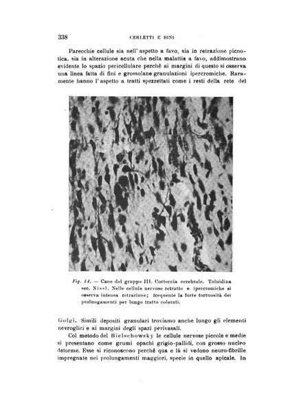 Rivista sperimentale di freniatria e medicina legale delle alienazioni mentali organo della Società freniatrica italiana