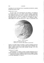 giornale/PUV0028278/1942/unico/00000118