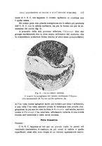 giornale/PUV0028278/1942/unico/00000123