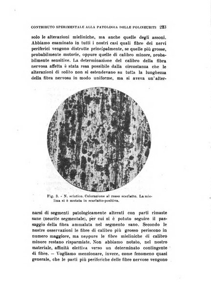 Rivista sperimentale di freniatria e medicina legale delle alienazioni mentali organo della Società freniatrica italiana