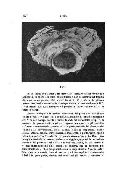 Rivista sperimentale di freniatria e medicina legale delle alienazioni mentali organo della Società freniatrica italiana