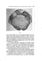 giornale/PUV0028278/1944/unico/00000387