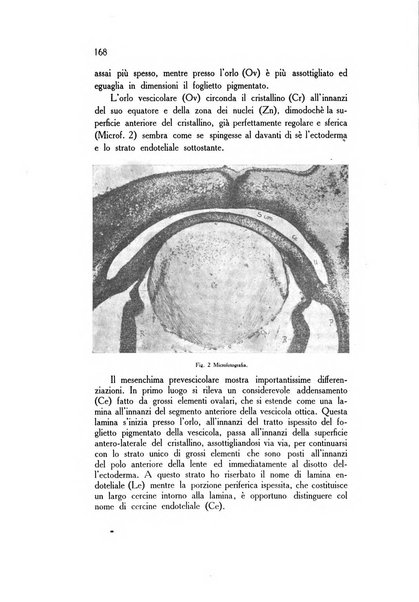 Annali di ottalmologia e clinica oculistica