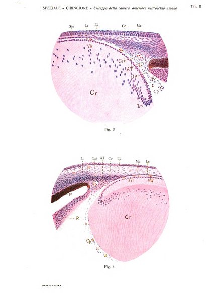 Annali di ottalmologia e clinica oculistica