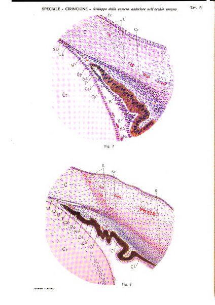 Annali di ottalmologia e clinica oculistica