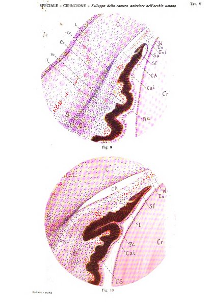 Annali di ottalmologia e clinica oculistica