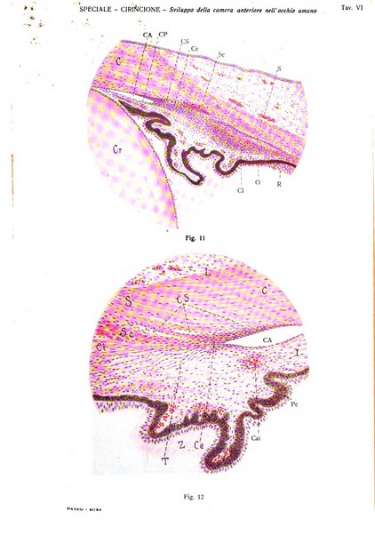 Annali di ottalmologia e clinica oculistica