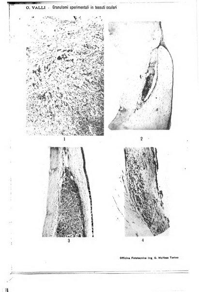 Annali di ottalmologia e clinica oculistica