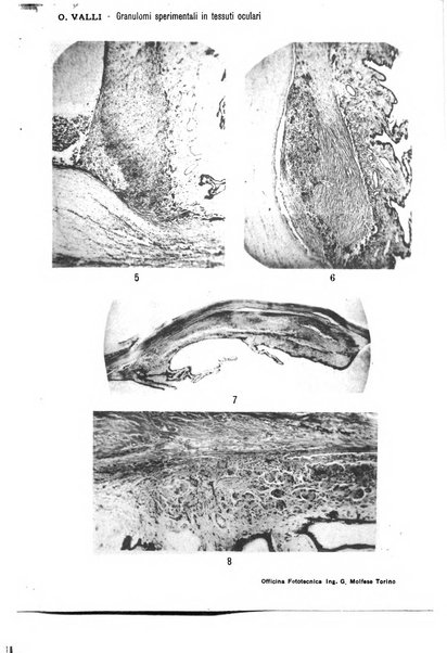 Annali di ottalmologia e clinica oculistica