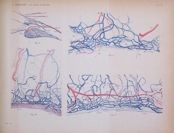 Annali di ottalmologia e clinica oculistica