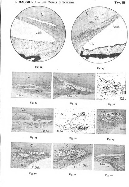 Annali di ottalmologia e clinica oculistica