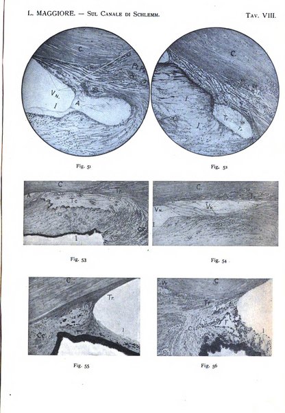 Annali di ottalmologia e clinica oculistica