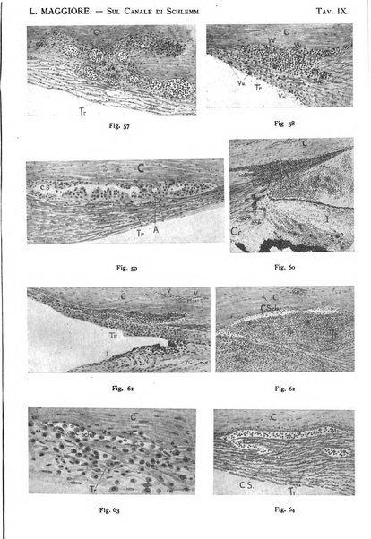 Annali di ottalmologia e clinica oculistica