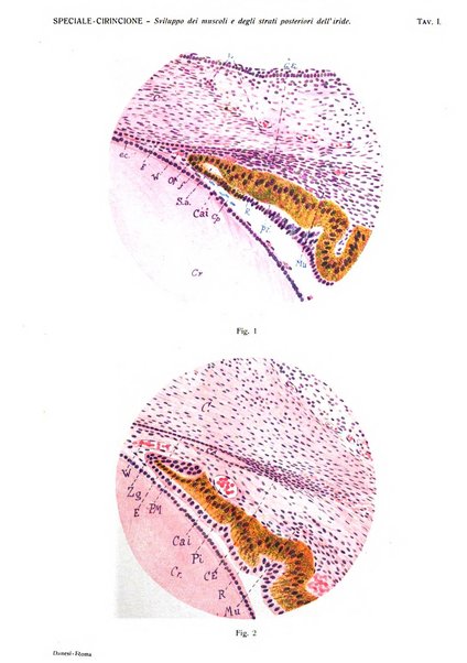 Annali di ottalmologia e clinica oculistica