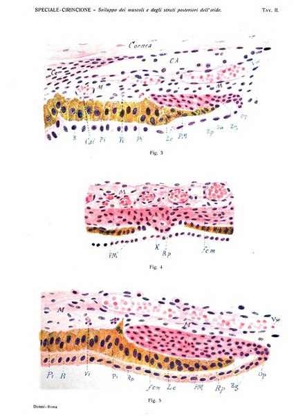 Annali di ottalmologia e clinica oculistica