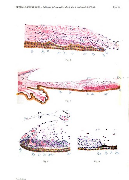 Annali di ottalmologia e clinica oculistica