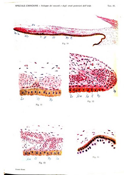 Annali di ottalmologia e clinica oculistica