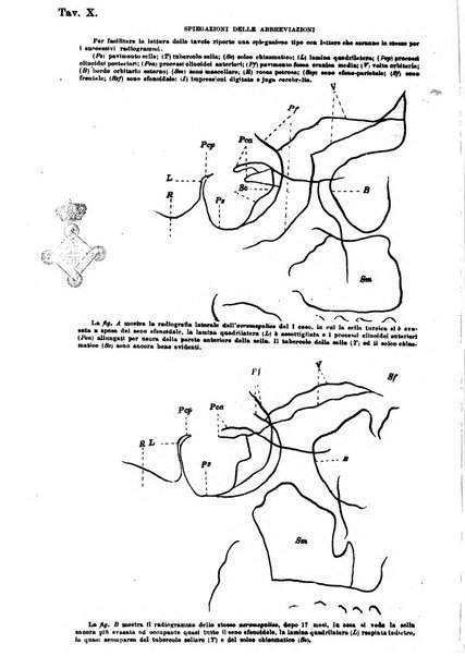 Annali di ottalmologia e clinica oculistica