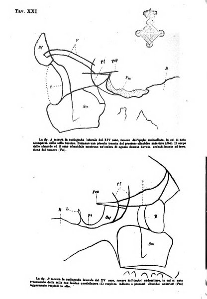 Annali di ottalmologia e clinica oculistica