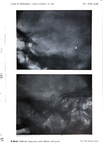 Annali di ottalmologia e clinica oculistica