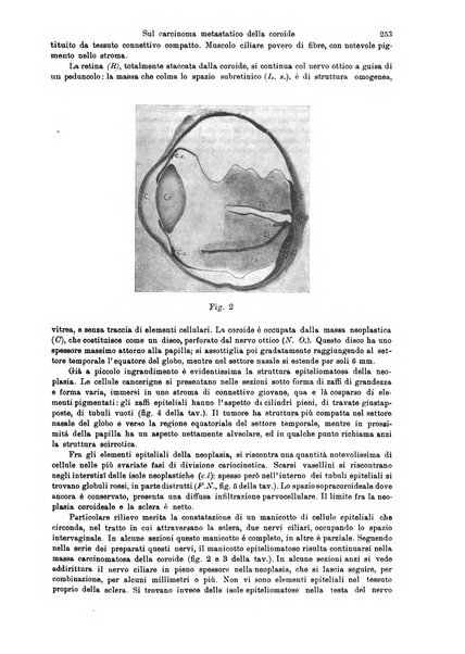 Annali di ottalmologia e clinica oculistica