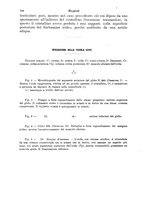 giornale/PUV0041464/1922/unico/00000442