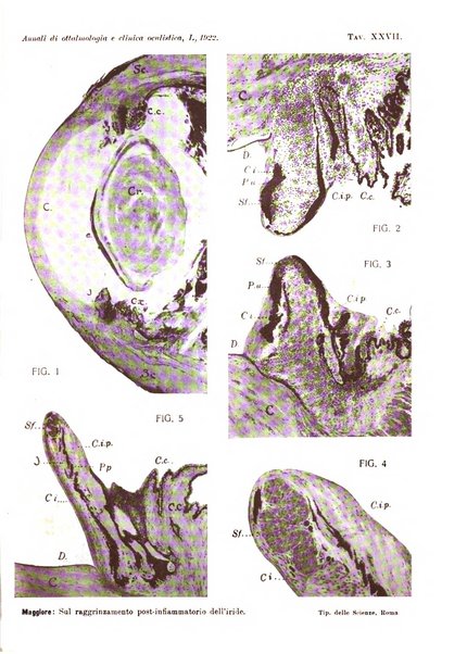 Annali di ottalmologia e clinica oculistica