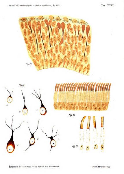 Annali di ottalmologia e clinica oculistica