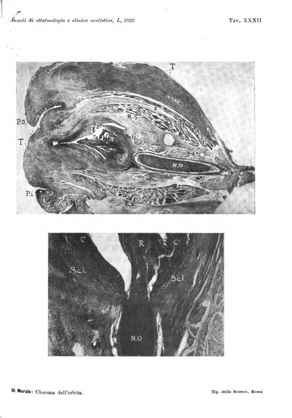 Annali di ottalmologia e clinica oculistica