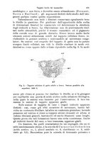 giornale/PUV0041464/1922/unico/00000595