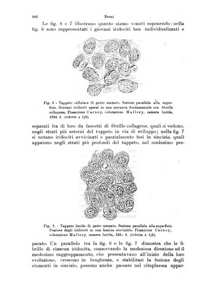 Annali di ottalmologia e clinica oculistica