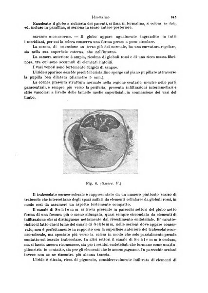 Annali di ottalmologia e clinica oculistica