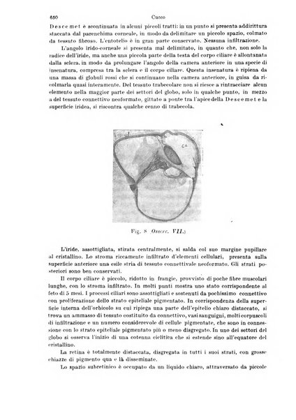 Annali di ottalmologia e clinica oculistica