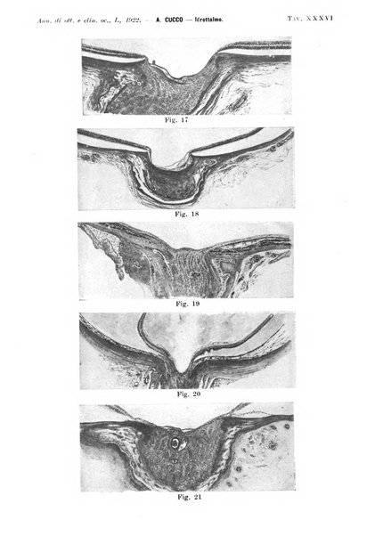 Annali di ottalmologia e clinica oculistica