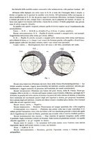 giornale/PUV0041464/1924/unico/00000227