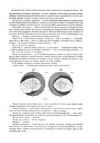 giornale/PUV0041464/1924/unico/00000237