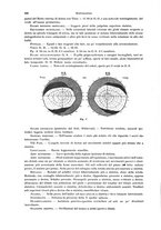 giornale/PUV0041464/1924/unico/00000242