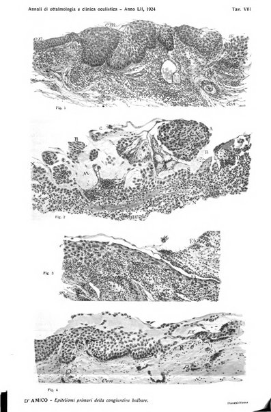 Annali di ottalmologia e clinica oculistica