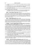 giornale/PUV0041464/1924/unico/00000402