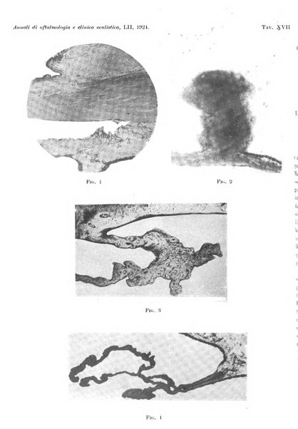 Annali di ottalmologia e clinica oculistica