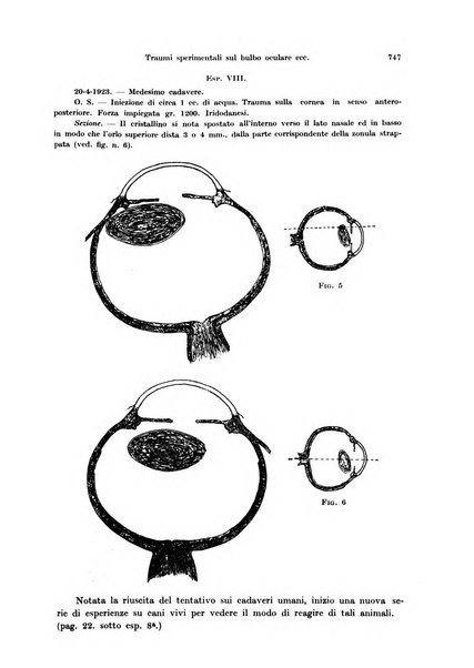 Annali di ottalmologia e clinica oculistica