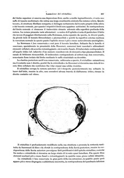 Annali di ottalmologia e clinica oculistica