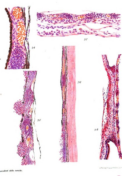 Annali di ottalmologia e clinica oculistica