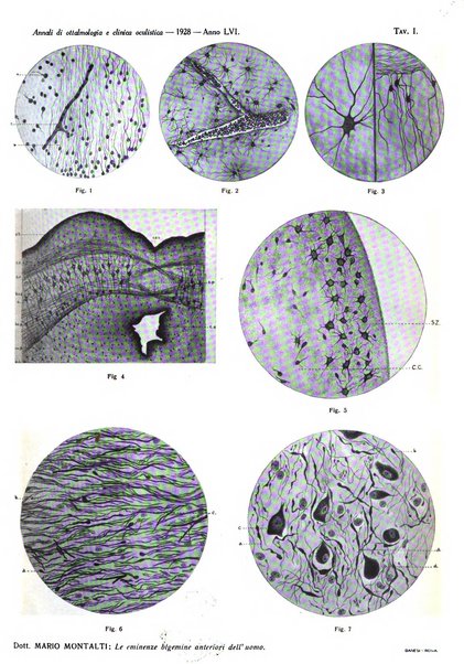 Annali di ottalmologia e clinica oculistica