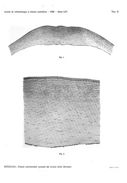 Annali di ottalmologia e clinica oculistica